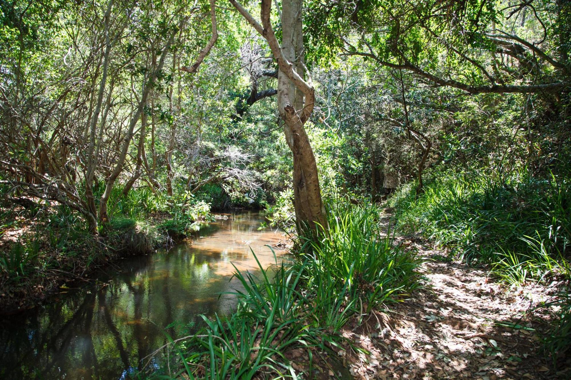 Blyde Canyon, A Forever Resort Matibidi Luaran gambar