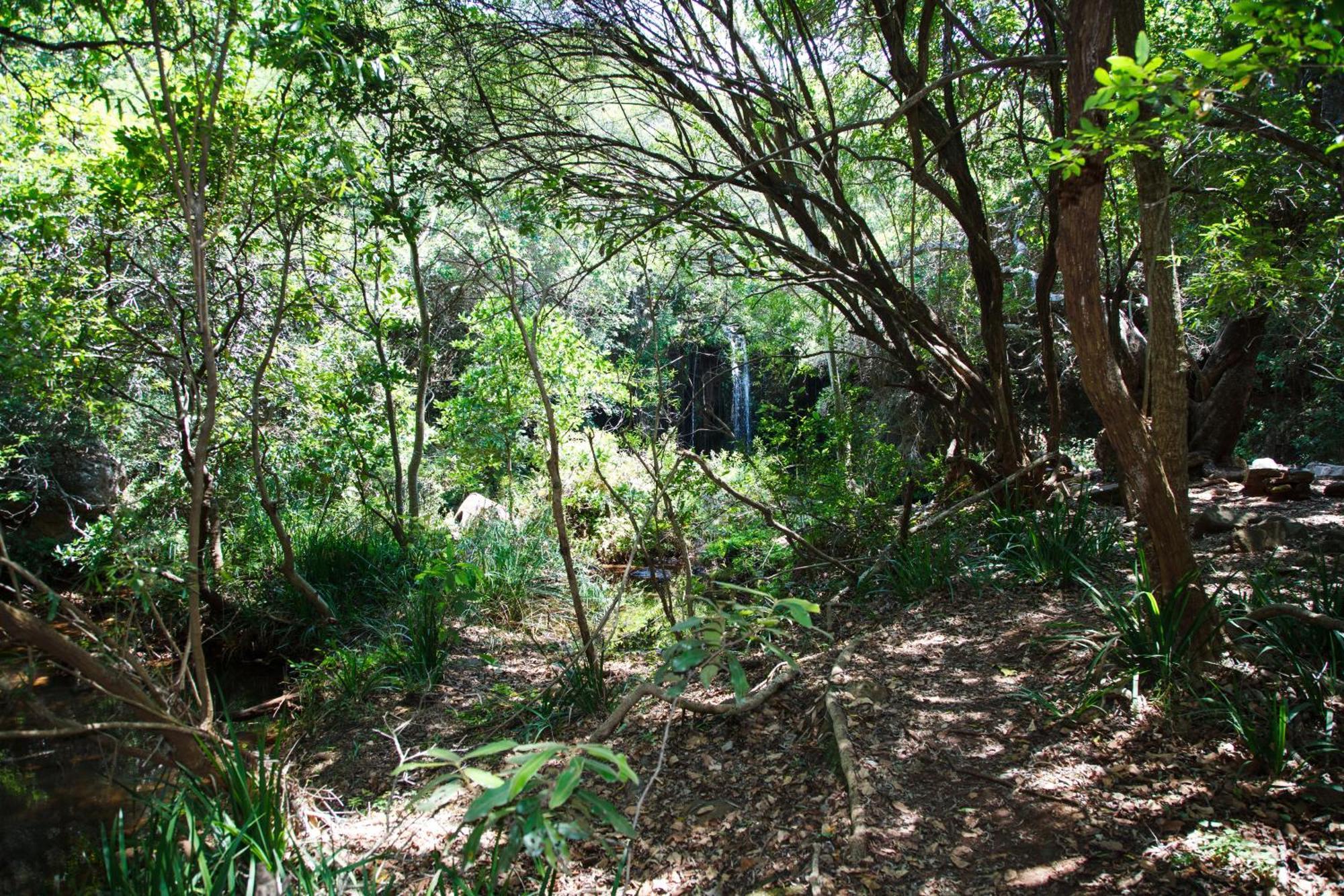 Blyde Canyon, A Forever Resort Matibidi Luaran gambar